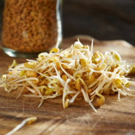 Methi seeds sprouted dehydrated