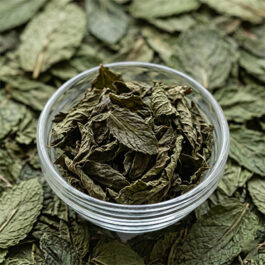 Dehydrated Mint Leaves