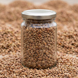 Dehydrated Sprouted Akkha Masoor