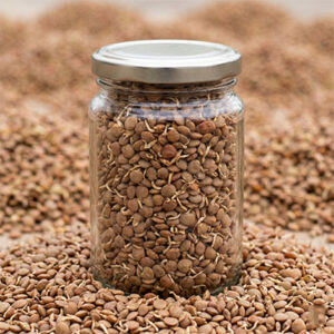 Dehydrated Sprouted Akkha Masoor
