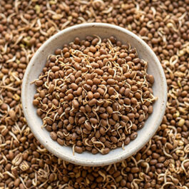 Dehydrated Sprouted Mataki