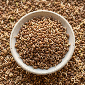 Dehydrated Sprouted Mataki