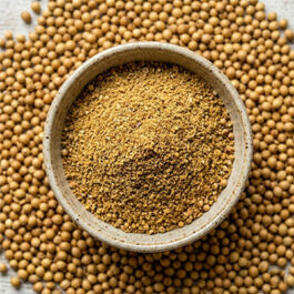 Roasted Coriander seed powder